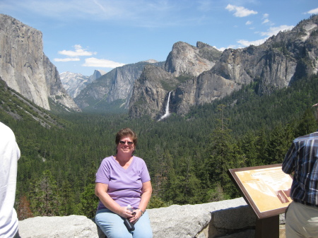 Yosemite May 2009 070