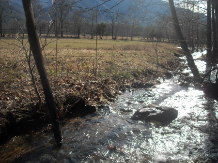 Stream in Cades Cove near us