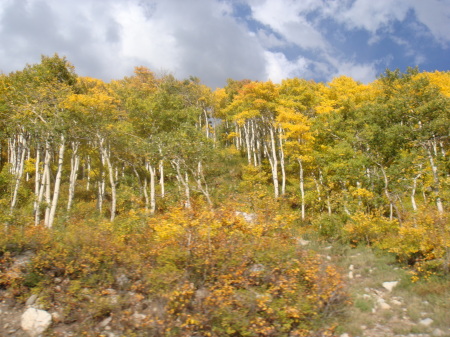 Fall in Utah