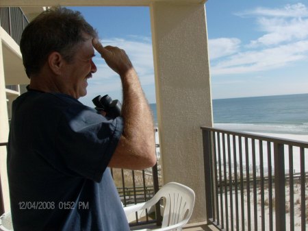 Mark watching dolphins play, Orange Beach AL