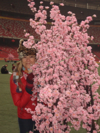 Birds Nest / China