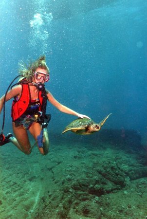 Scuba Diving off the island of Kaui 1988