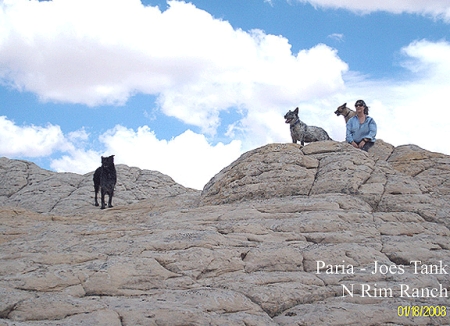 Hiking the Vermillion Cliffs Paria 2008