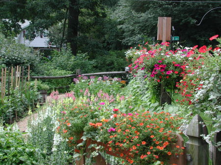 Flower Garden '2008