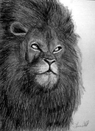 lion