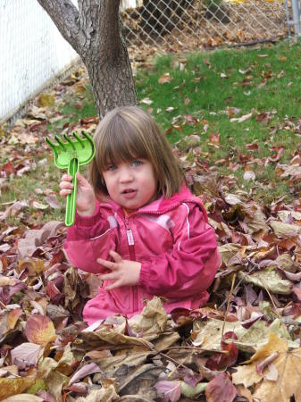 Sahalie in the Fall of 2008