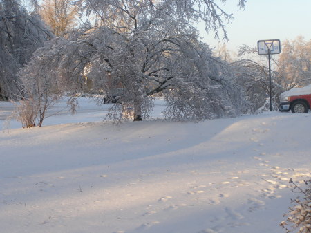 09 ice storm (2)