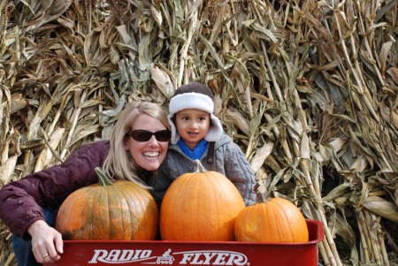 2008pumpkins_small