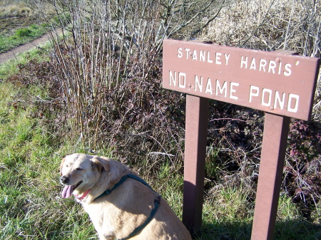 Arcata Marsh