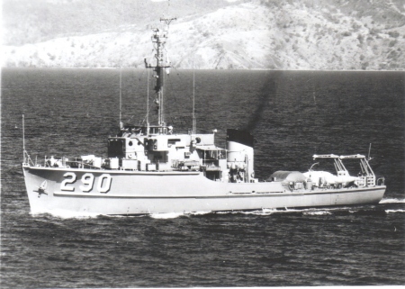 USS GANNET MSC 290