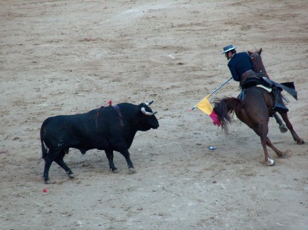 Bullfight Madrid 2004