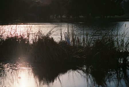 Sunset at Glen Helen Park