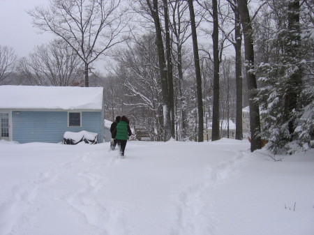 09.under the snow 02-26-2010