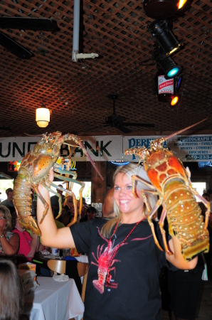 big spiney lobsters