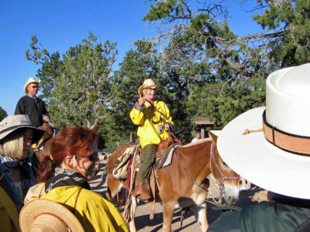 The Mule ride into the Canyon