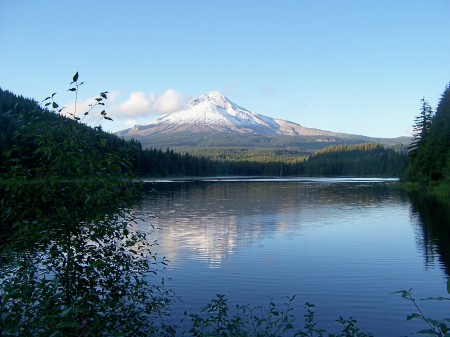 Trilium Lake W/Mt. Hood in background (eve.)