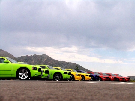 Our Daytona's lined up at Mt. St. Helens Aug.