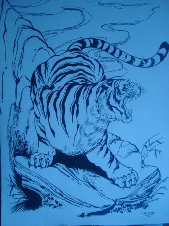 oriental tiger i drew