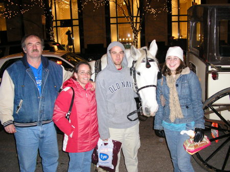 Carraige ride in Chicago