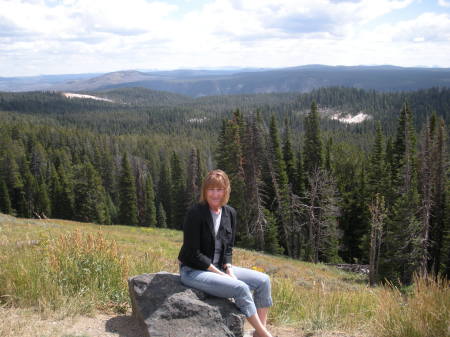 Yellowstone  Aug. 2009