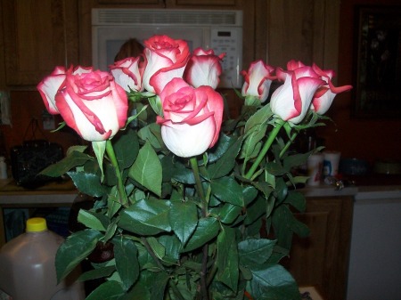 Roses from Tonya and Bub