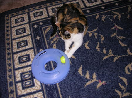 Precious playing with her toy.