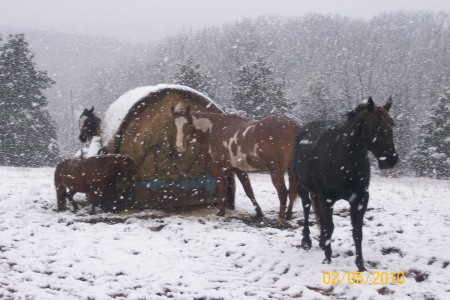 winter snow storm