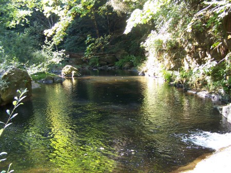 Nice Swimming Hole