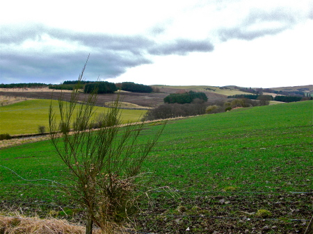 Beautiful Scotland