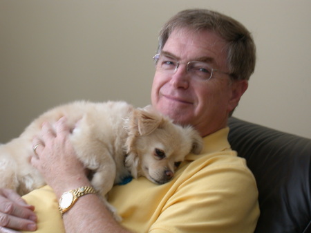 Mike & Millie - Pom/Tibetan Spaniel