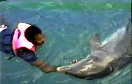 Dolphins at Xcaret PRECIOUS