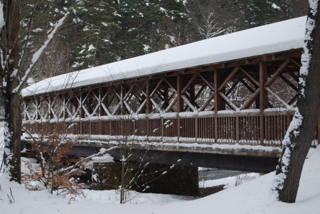 Thanksgiving, Alegany, NY 2008