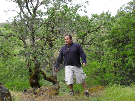 chased by lions at low gap park