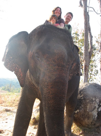 Riding elephant