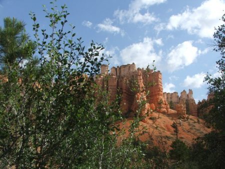 Mossey Cave Trail