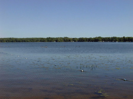 swann lake 001