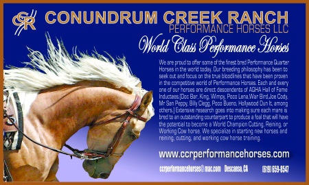 Ad for CCR Performance Horses