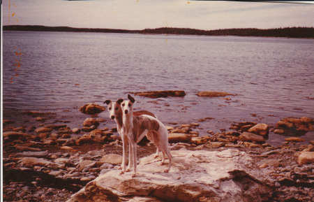 Alice & Daisy at Little Liscomb, Nova Scotia