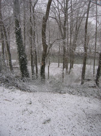 Snow in Taylorsville,  GA February 12, 2010.