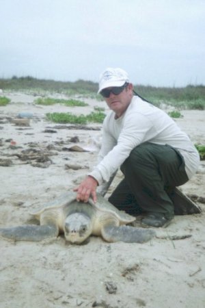 Kemps Ridley Sea Turtle