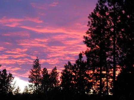 Typical Sunset from my back deck...