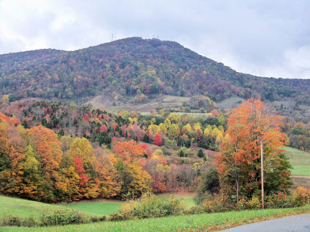 Fall Colors