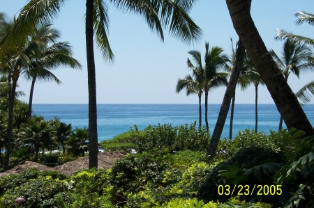 Scene at breakfast in Kauai.