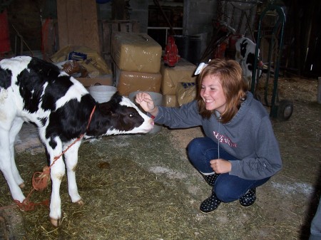 Amber with Calf (2007)