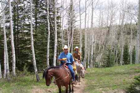 WILD ROSE TRAIL