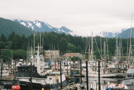 Inner harbor at Sitka