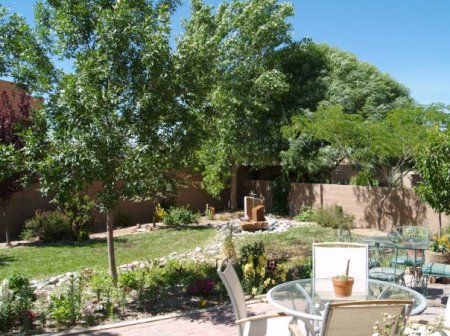 My Back Yard in Albuquerque