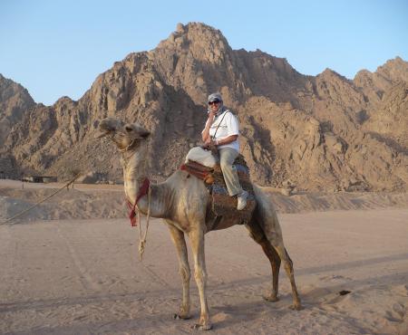 camel ride in the desert