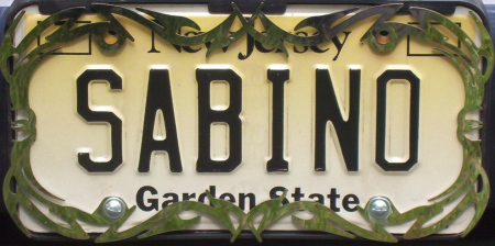 MY LICENSE PLATE