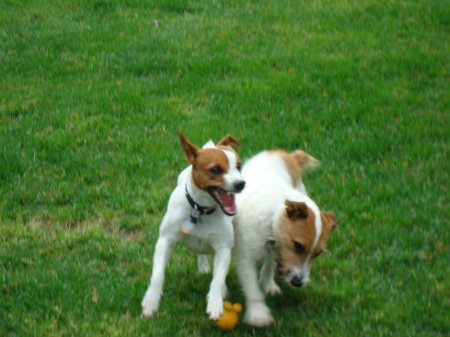 TOBY & SISTER EMILY